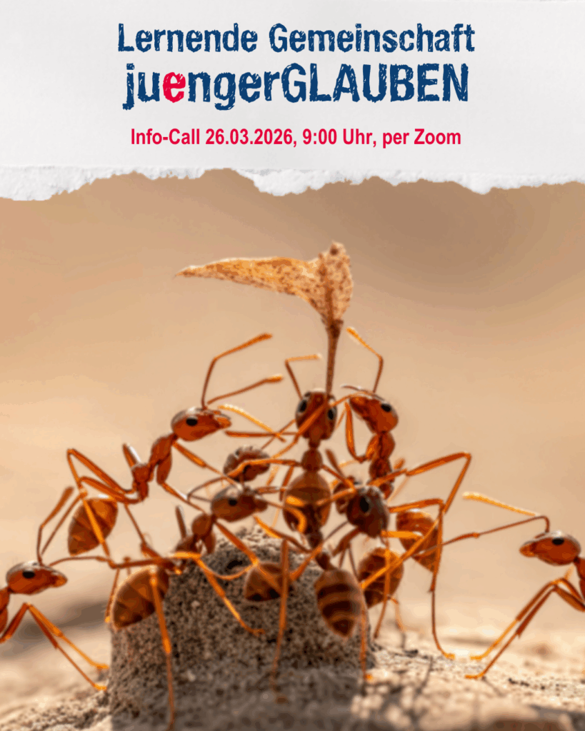 Mehrere Ameisen bauen gemeinsam an einem Sandhügel – Motiv für die lernende Gemeinschaft juengerGLAUBEN.